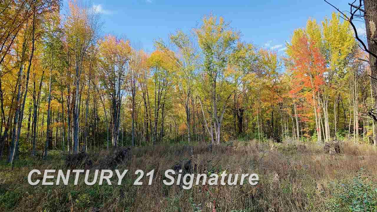 East Townline Road Bridgeport, MI 48722 - Photo 4 of 8