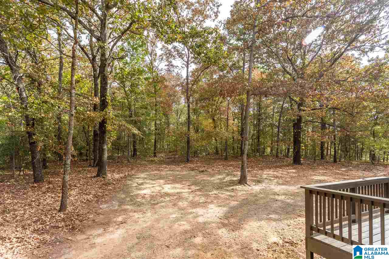 835 Funderburg Bend Road Pell City, AL 35128 - Photo 36 of 42