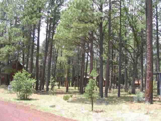 586 East Ridge Drive Pinedale, AZ 85934 - Photo 1 of 2