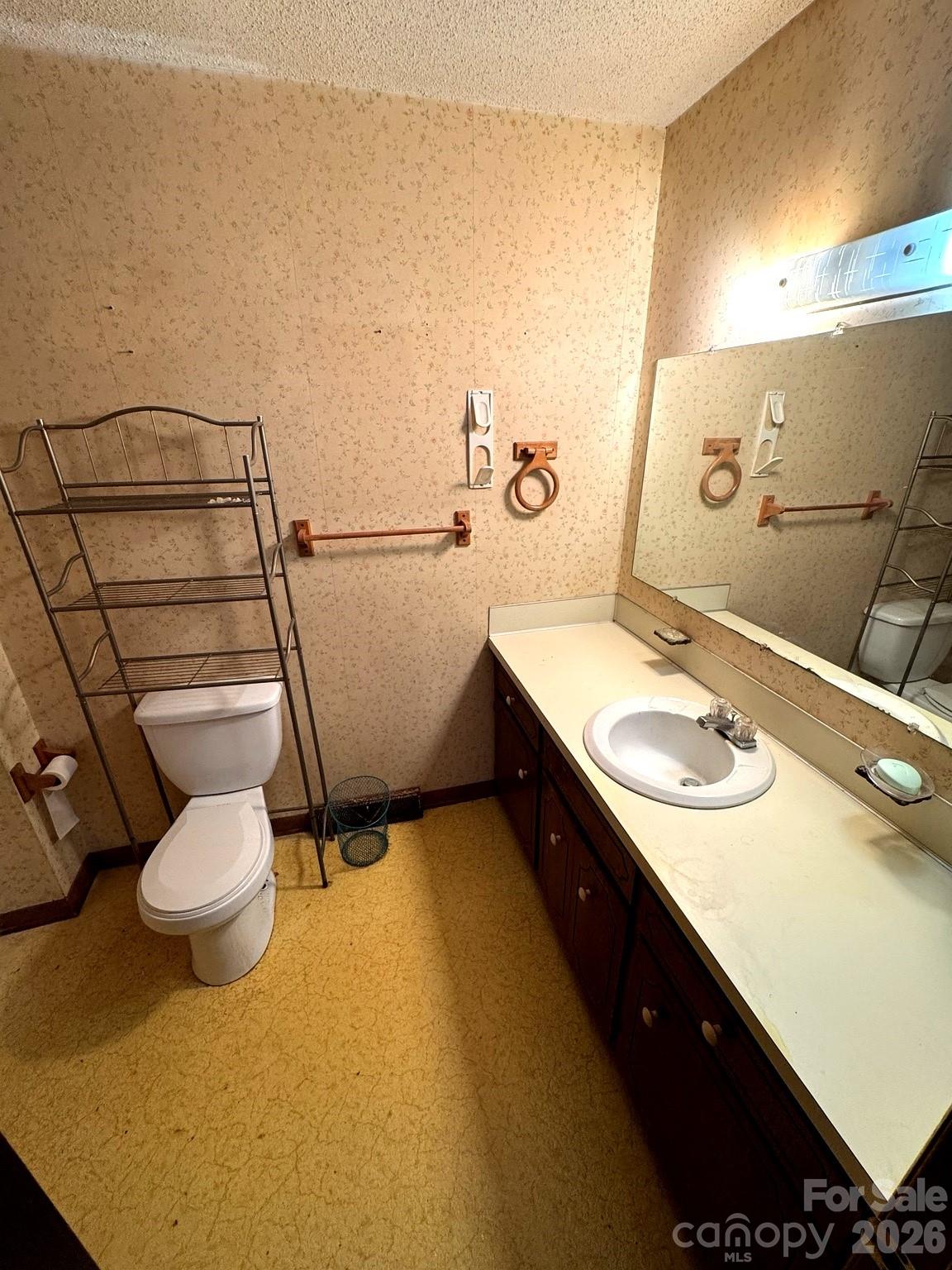 3968 Dover Street Claremont, NC 28610 - Photo 7 of 20 a bathroom with a sink and a toilet