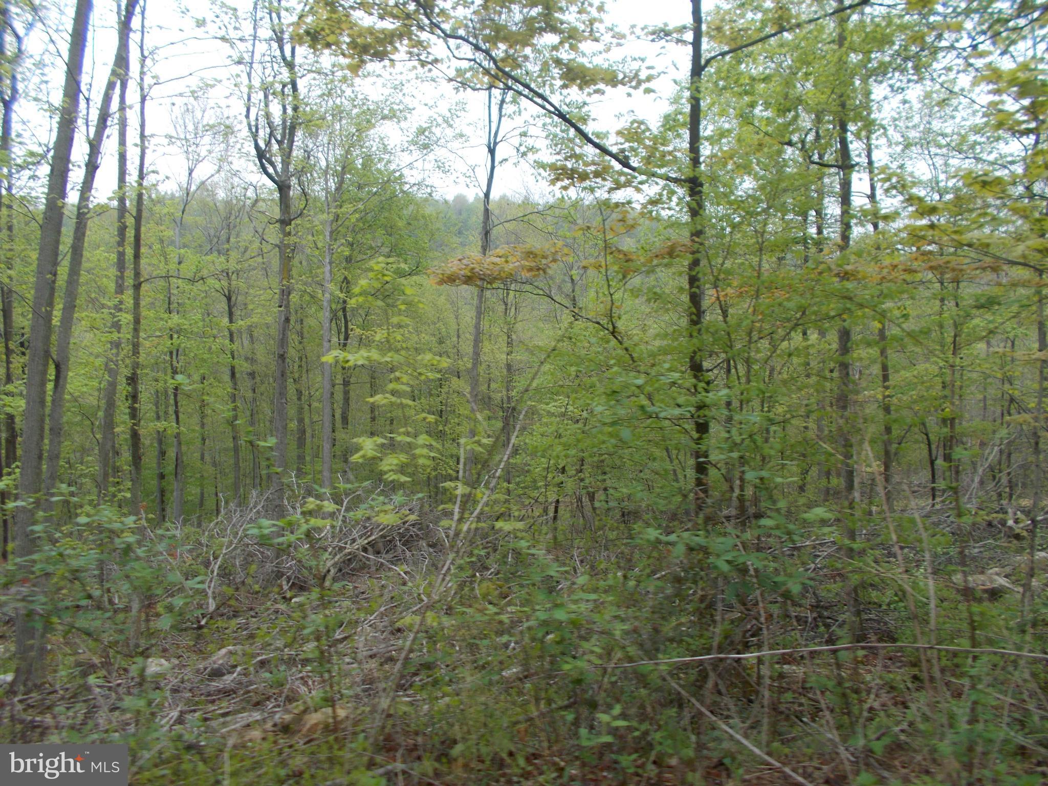 Wellersburg Rd Mount Mount Savage, MD 21545 - Photo 3 of 8