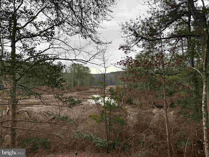 Calvary Church Road Warsaw, VA 22572 - Photo 11 of 12