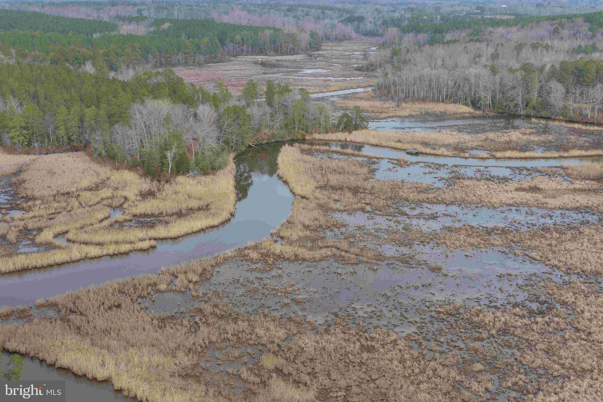 Calvary Church Road Warsaw, VA 22572 - Photo 12 of 12