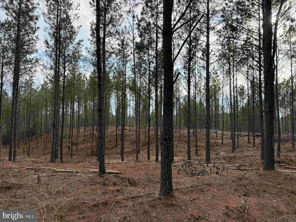 $785,000 | Calvary Church Road, Warsaw, VA 22572