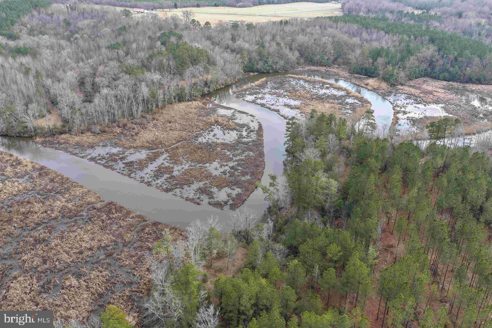 Calvary Church Road Warsaw, VA 22572 - Photo 4 of 12