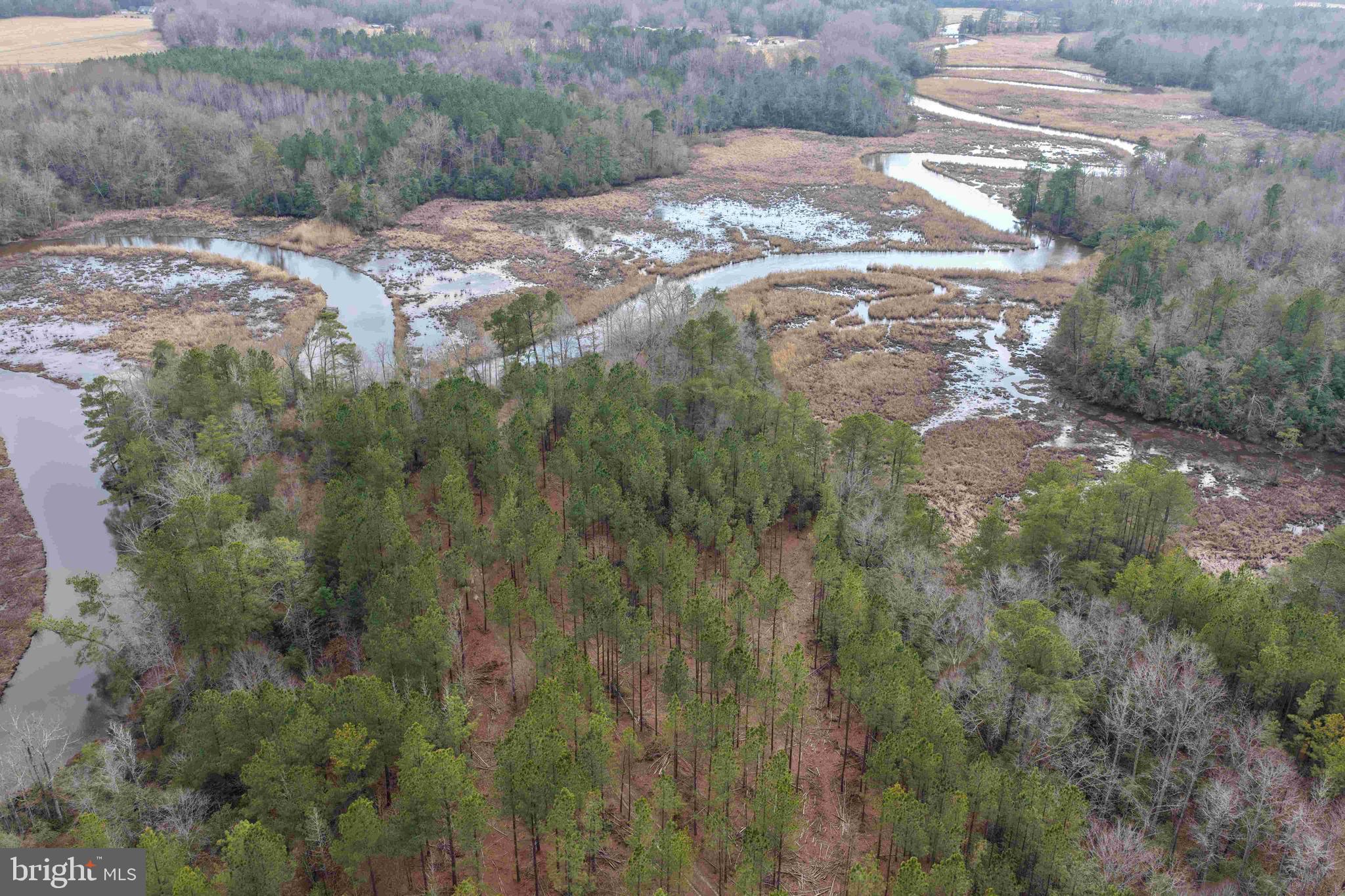 Calvary Church Road Warsaw, VA 22572 - Photo 5 of 12