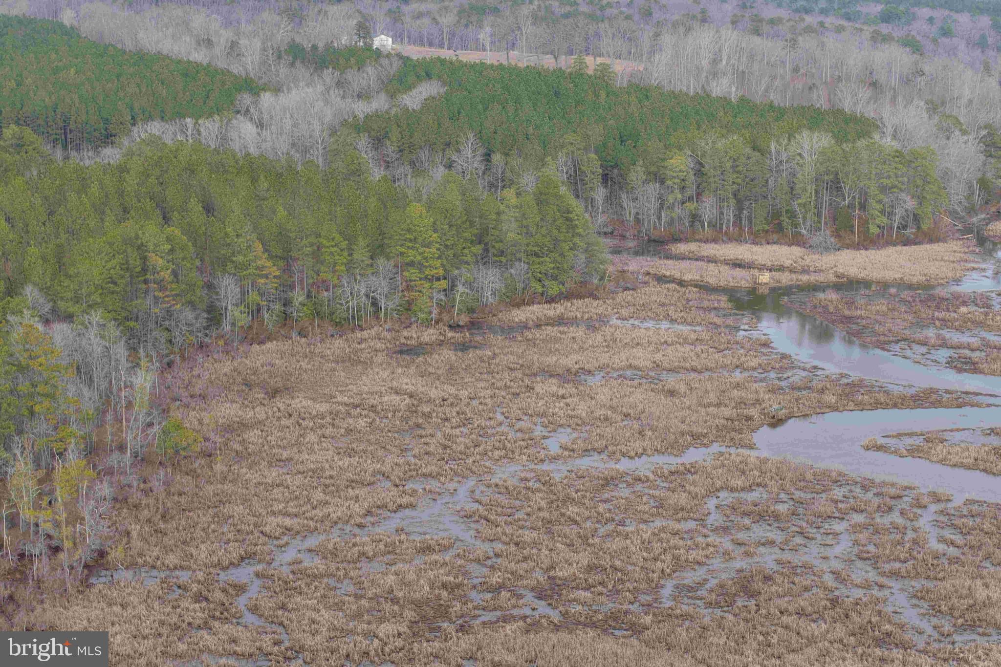Calvary Church Road Warsaw, VA 22572 - Photo 6 of 12