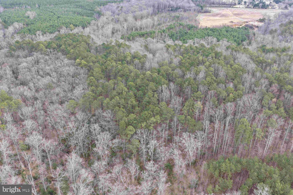 Calvary Church Road Warsaw, VA 22572 - Photo 7 of 12