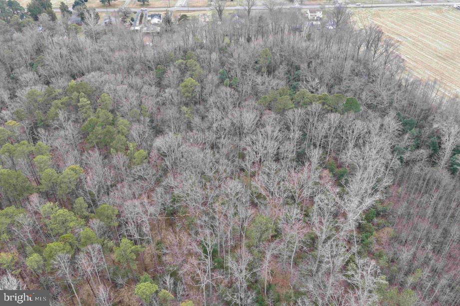 Calvary Church Road Warsaw, VA 22572 - Photo 8 of 12