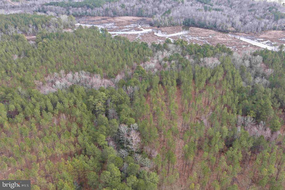 Calvary Church Road Warsaw, VA 22572 - Photo 10 of 12