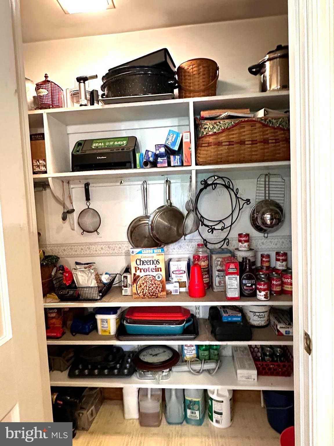 28402 Liden School Road Denton, MD 21629 - Photo 17 of 59 Lots of space in this large pantry - cook's dream