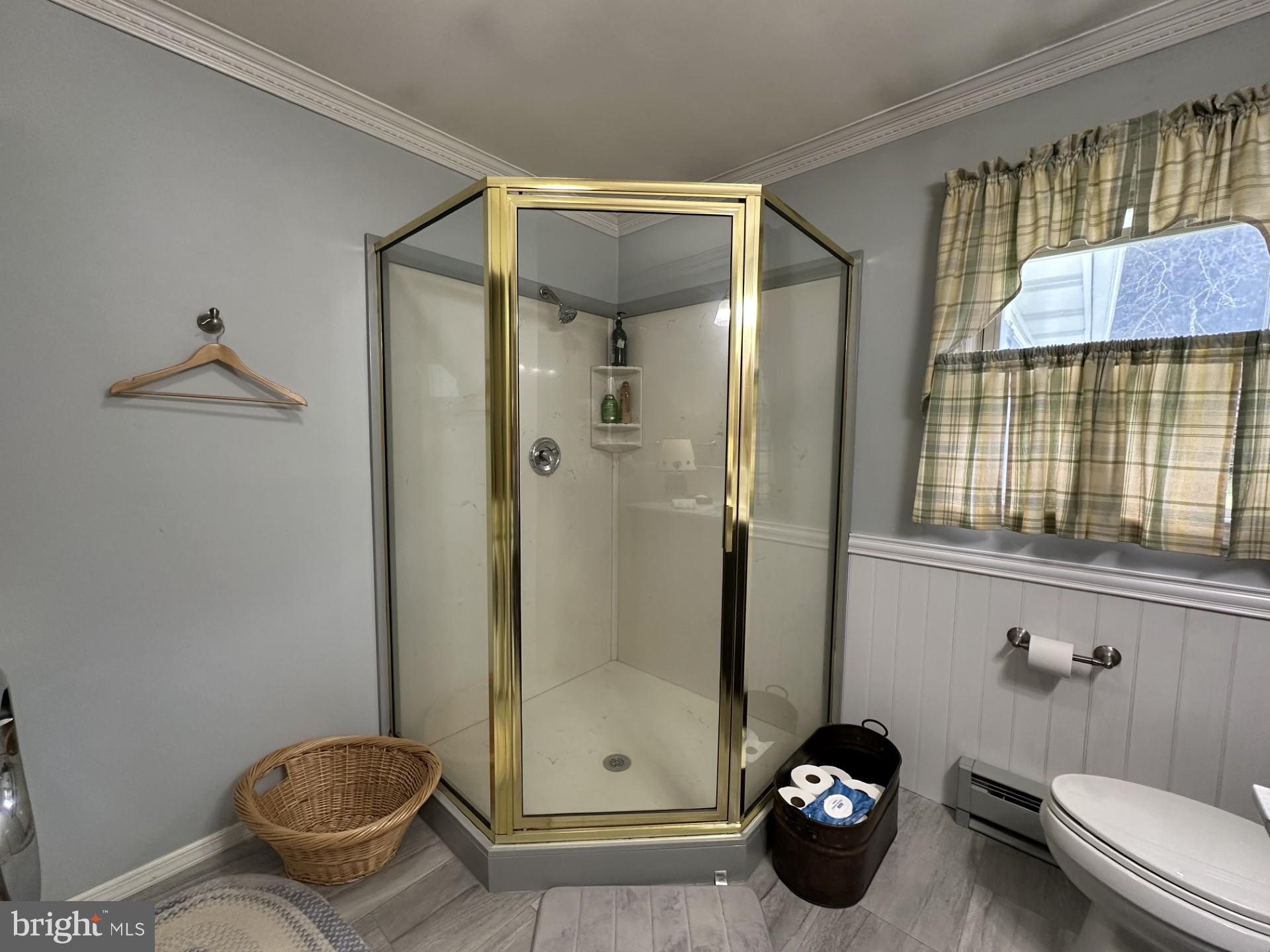 28402 Liden School Road Denton, MD 21629 - Photo 38 of 59 a bathroom with a toilet and a shower