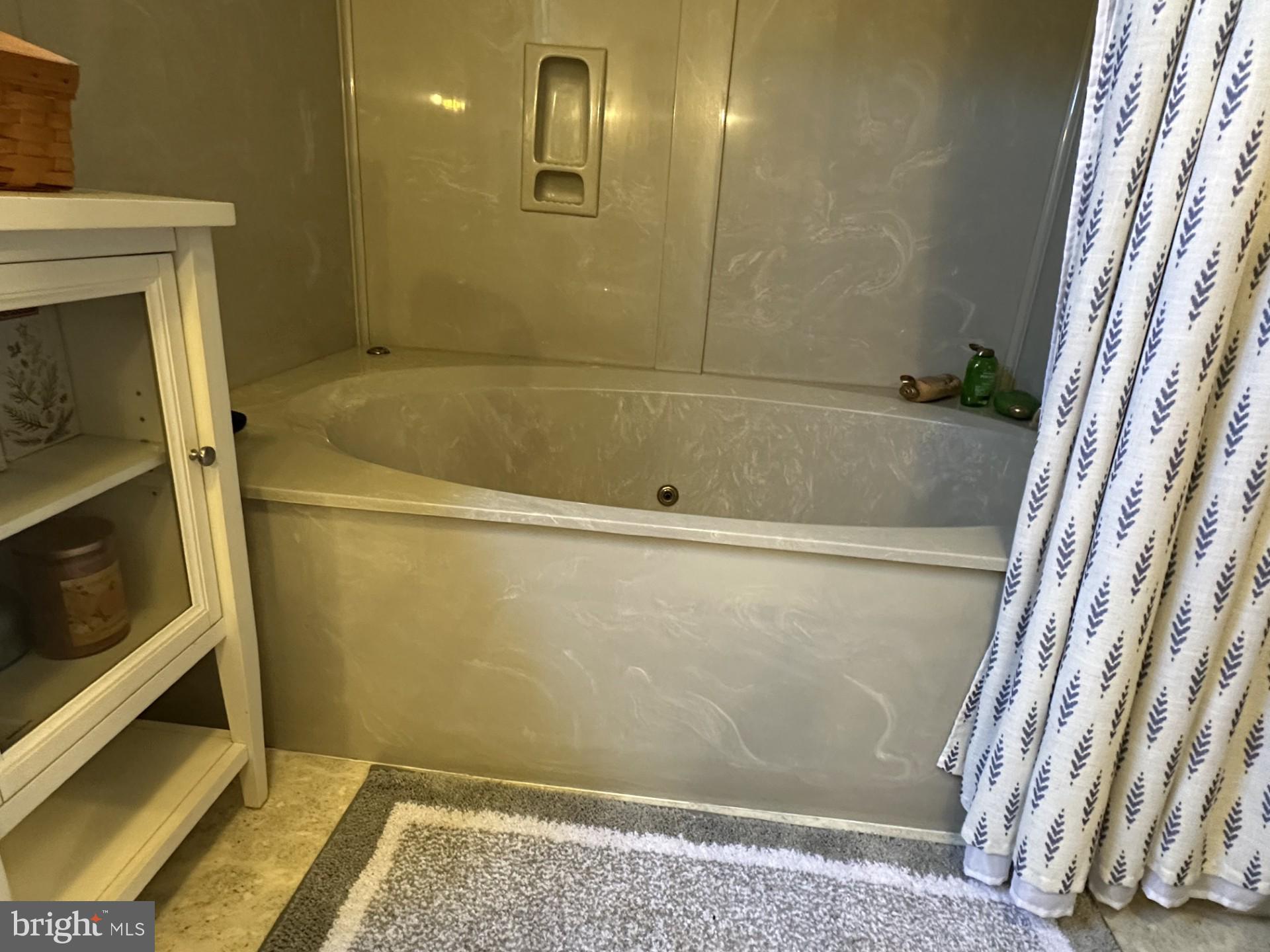 28402 Liden School Road Denton, MD 21629 - Photo 49 of 59 Primary bath with jetted tub