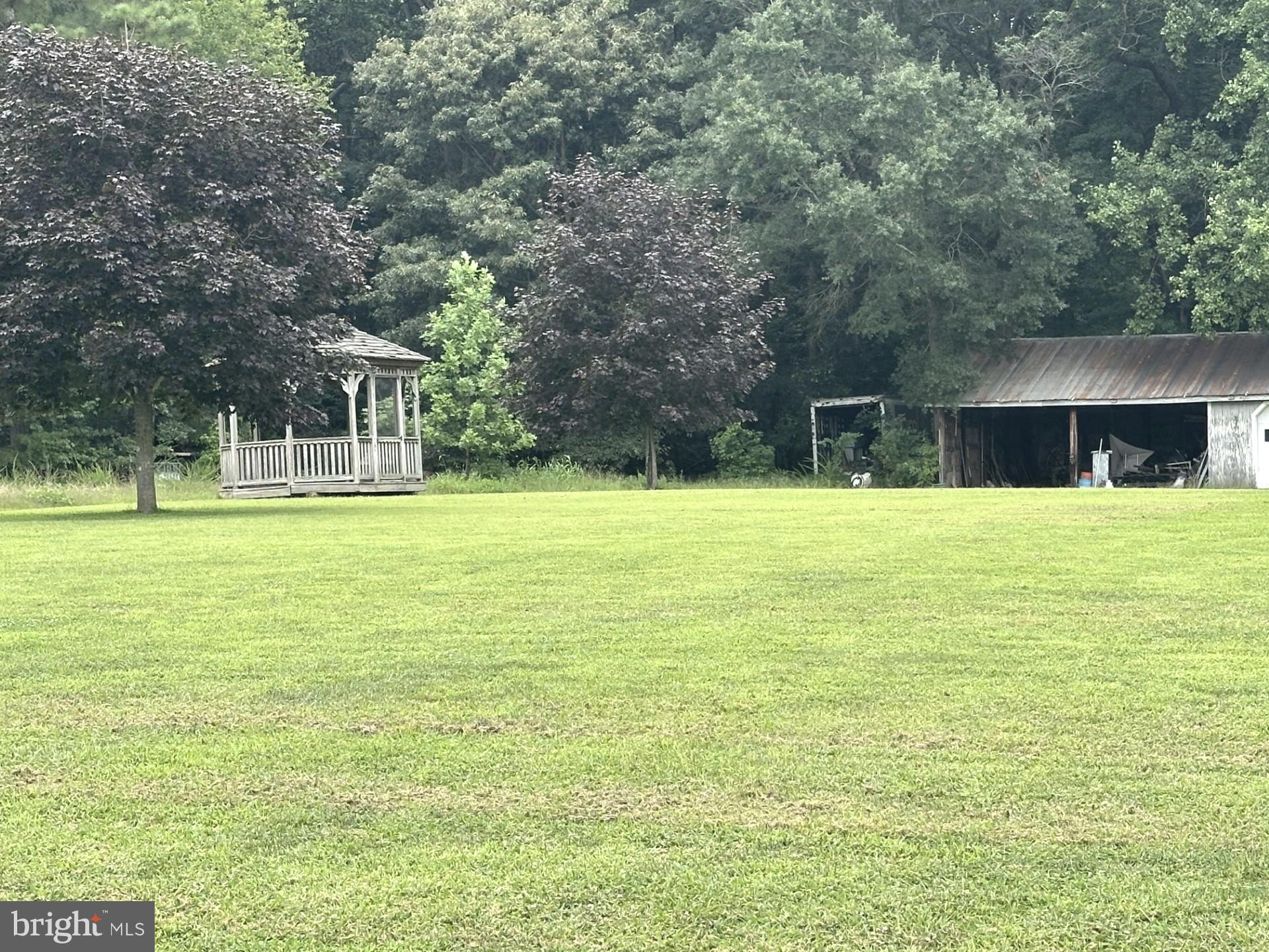 28402 Liden School Road Denton, MD 21629 - Photo 51 of 59 a view of swimming pool and trees in the background