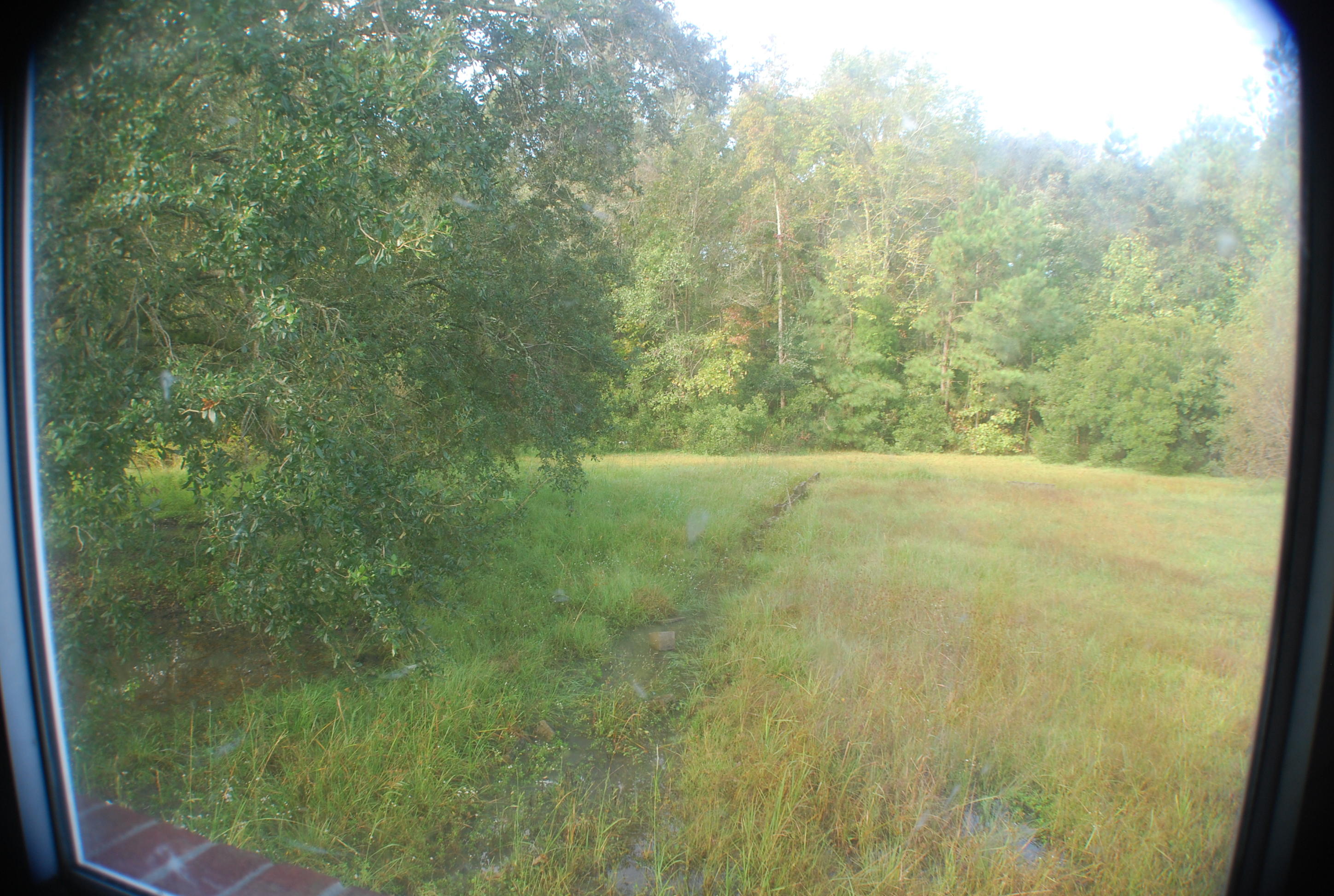 452 Old Back River Road Goose Creek, SC 29445 - Photo 29 of 34 DSC_7647