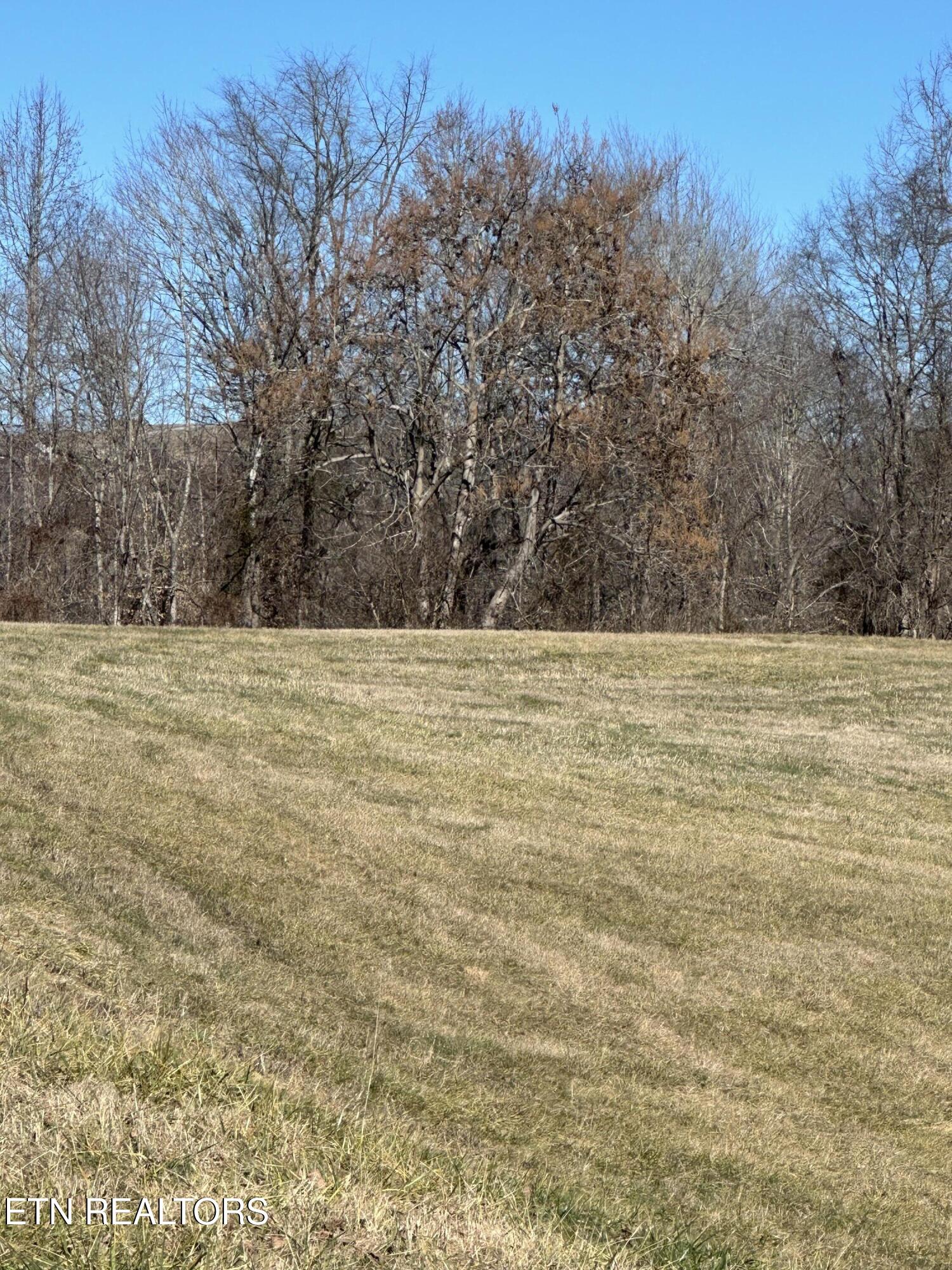 Bob Wright Road Maynardville, TN 37807 - Photo 15 of 16 lot 41 2