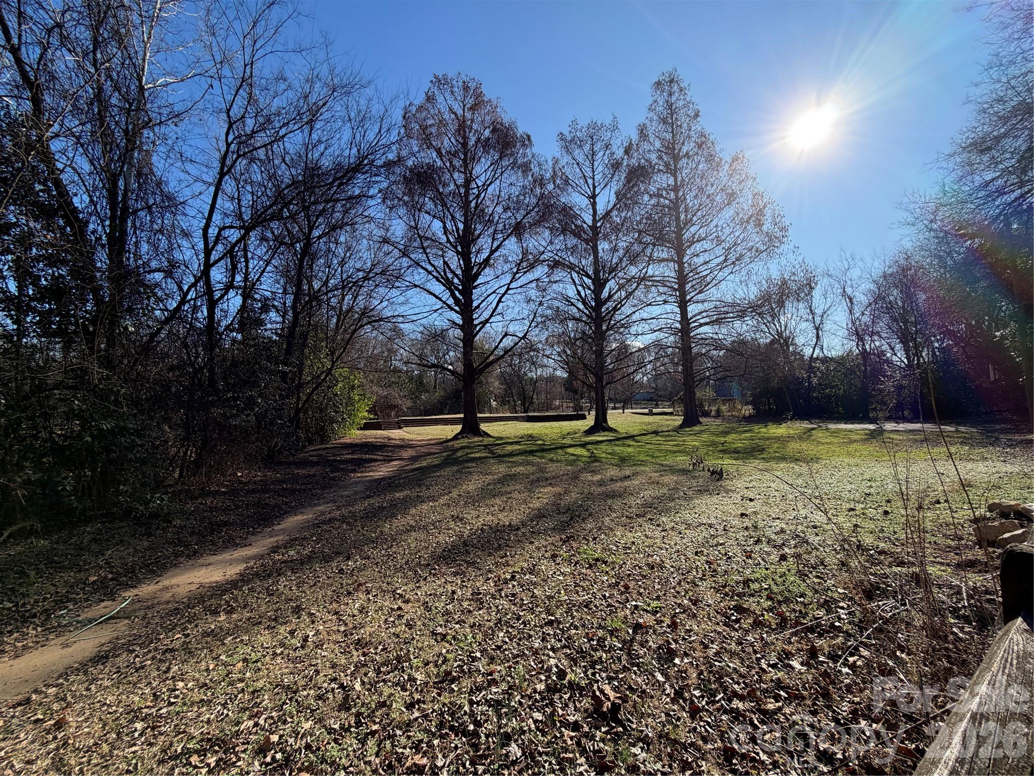 610 East 16th Street Charlotte, NC 28206 - Photo 3 of 5 a view of yard with tree