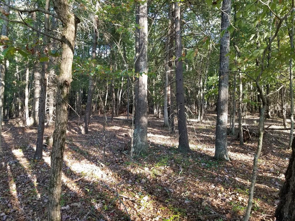 Tbd Dry Road, Unit 34 Speedwell, VA 24374 - Photo 8 of 25 Gallery Image 8