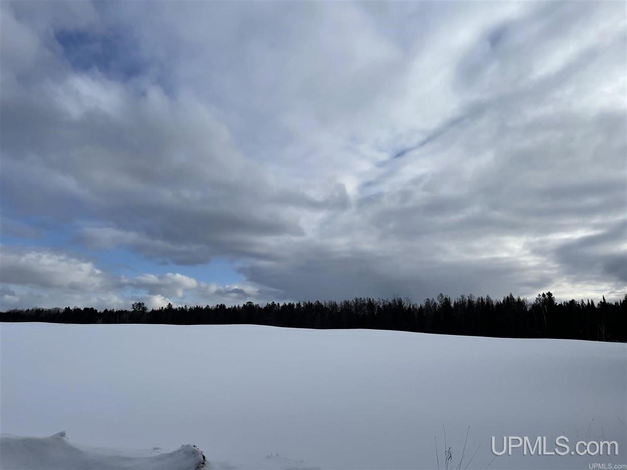 3805 West Maple Ridge 37 Road Rock, MI 49880 - Photo 30 of 33