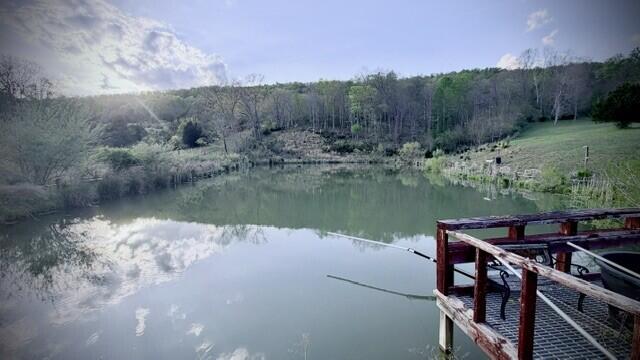 2463 Willow Bend Road Lindside, WV 24951 - Photo 71 of 75 Gallery Image 71