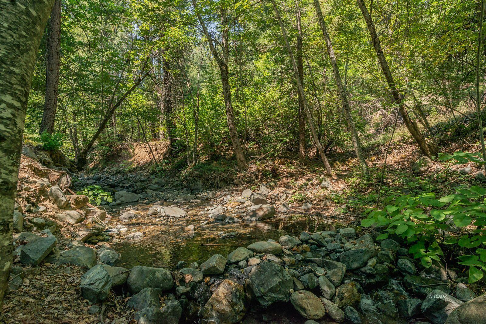 1371 Eagle Creek Loop Trinity Center, CA 96091 - Photo 4 of 34 02_1818599_lg