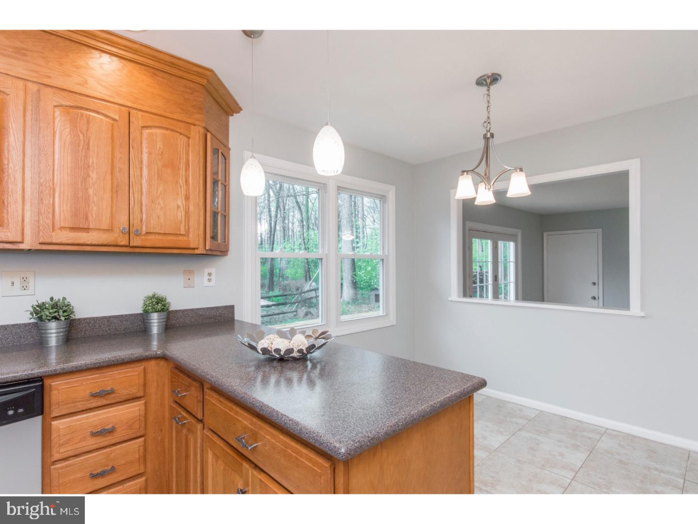 223 Spring Run Lane Downingtown, PA 19335 - Photo 6 of 25 Kitchen