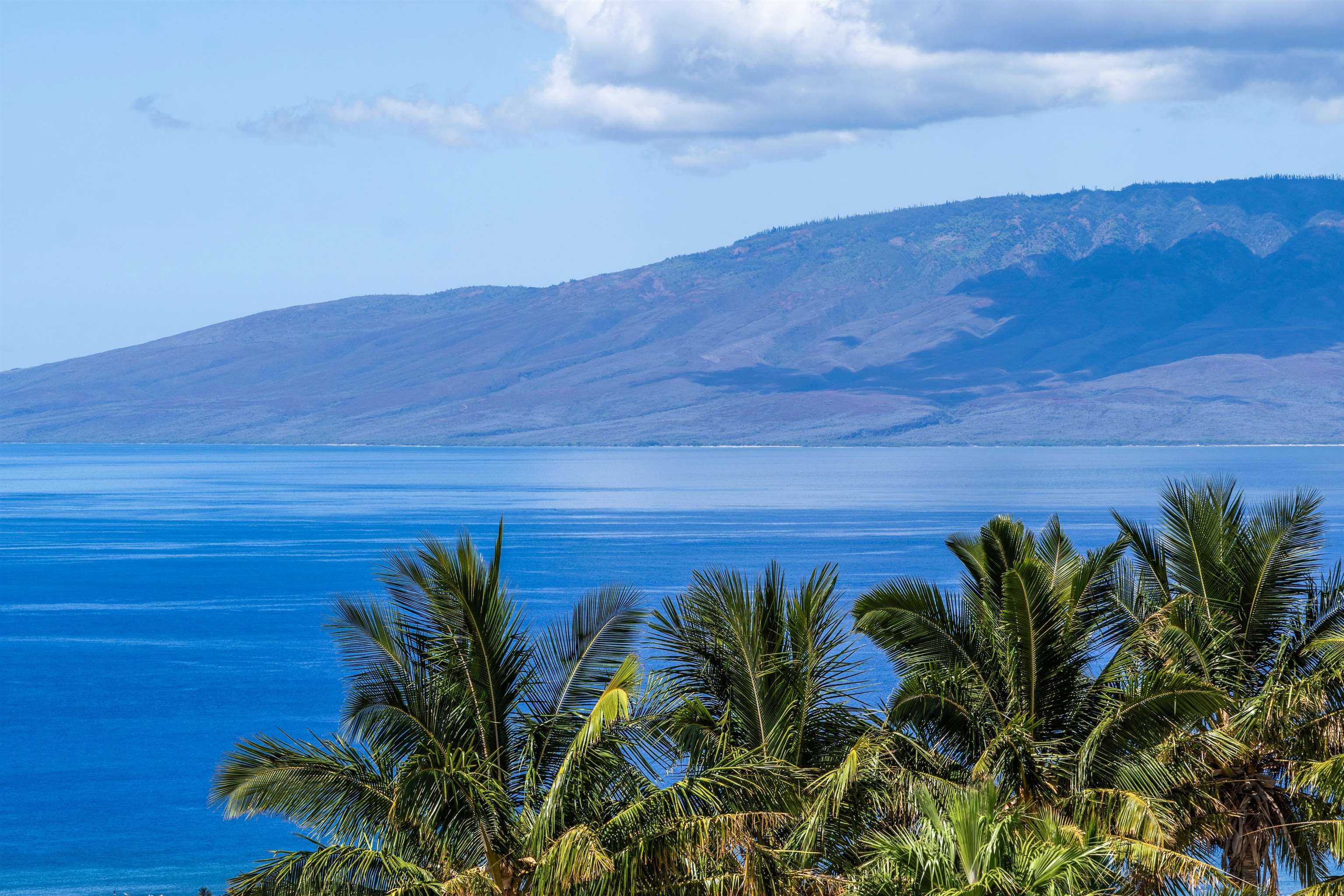 60 East Huapala Place, Unit B Lahaina, HI 96761 - Photo 27 of 50 a view of a palm plant with a view of a yard