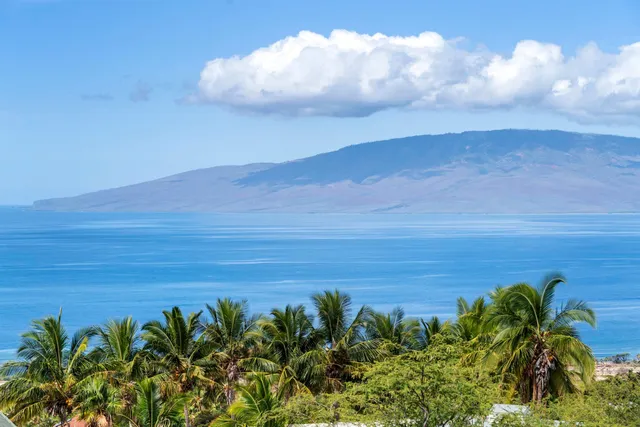 a view of a lake and a mountain