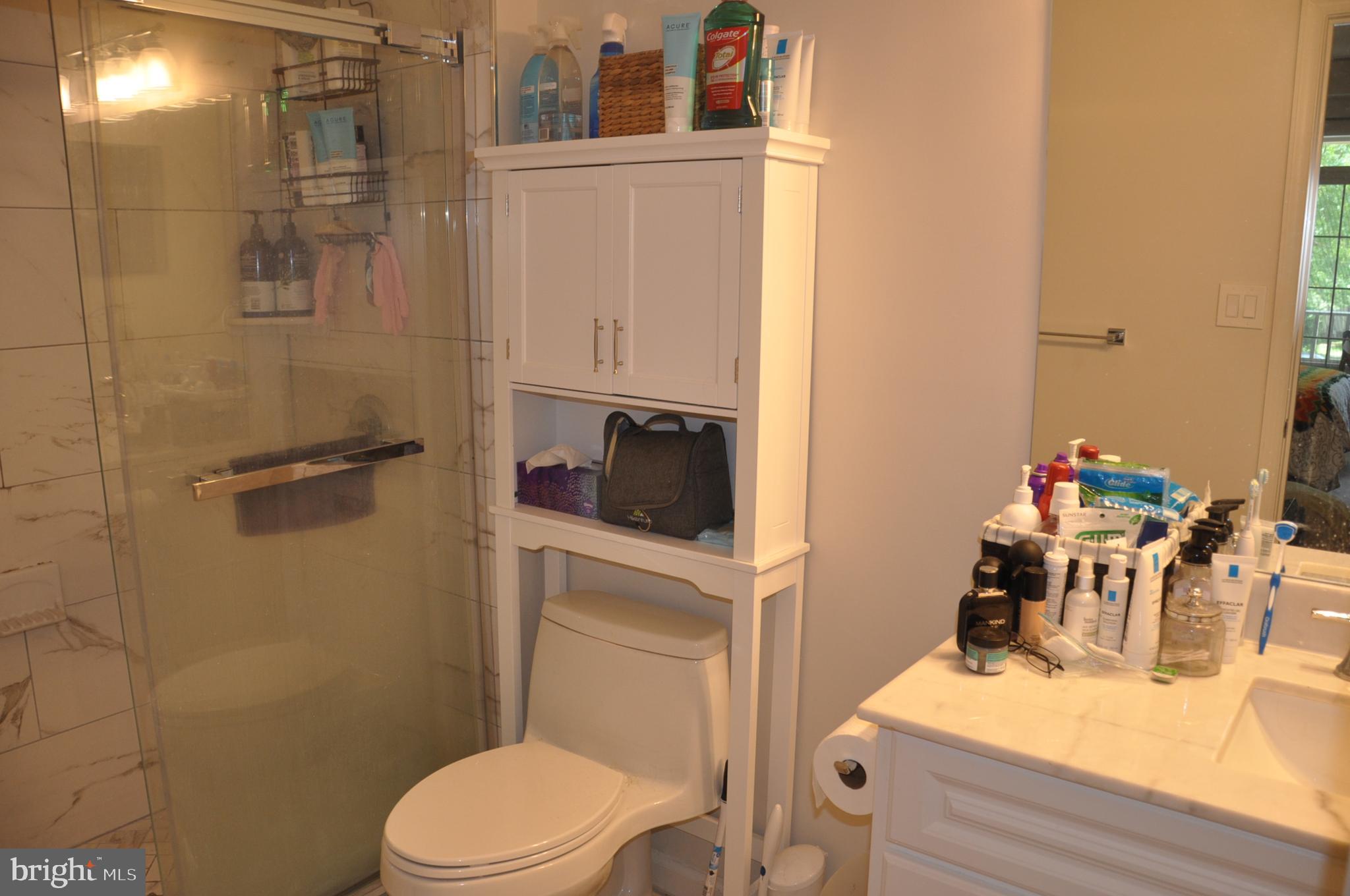 1300 P Windleaf Drive, Unit 159 Reston, VA 20194 - Photo 10 of 16 Master Bath