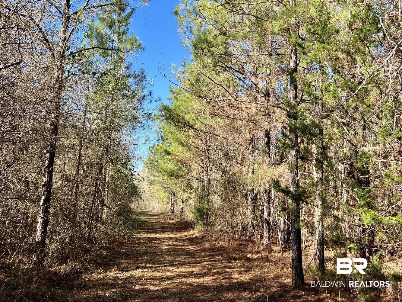 0 Highway 84 Evergreen, AL 36401 - Photo 28 of 50