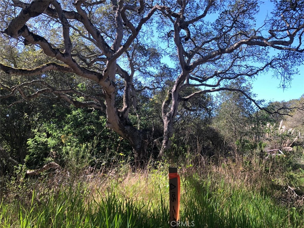 221 Tucker Road Watsonville, CA 95076 - Photo 30 of 31