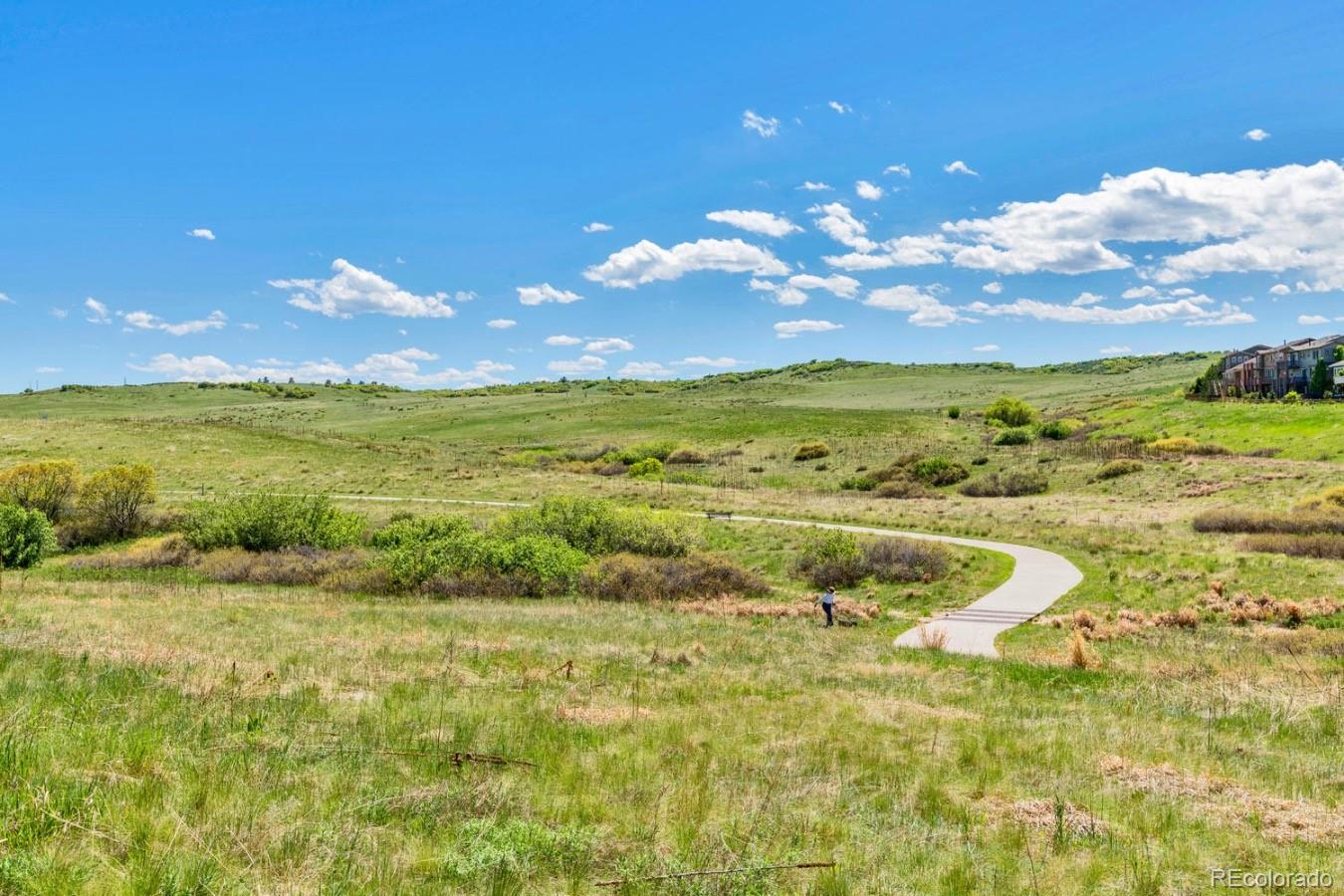 5286 Fullerton Lane Highlands Ranch, CO 80130 - Photo 28 of 31 Gallery Image 28