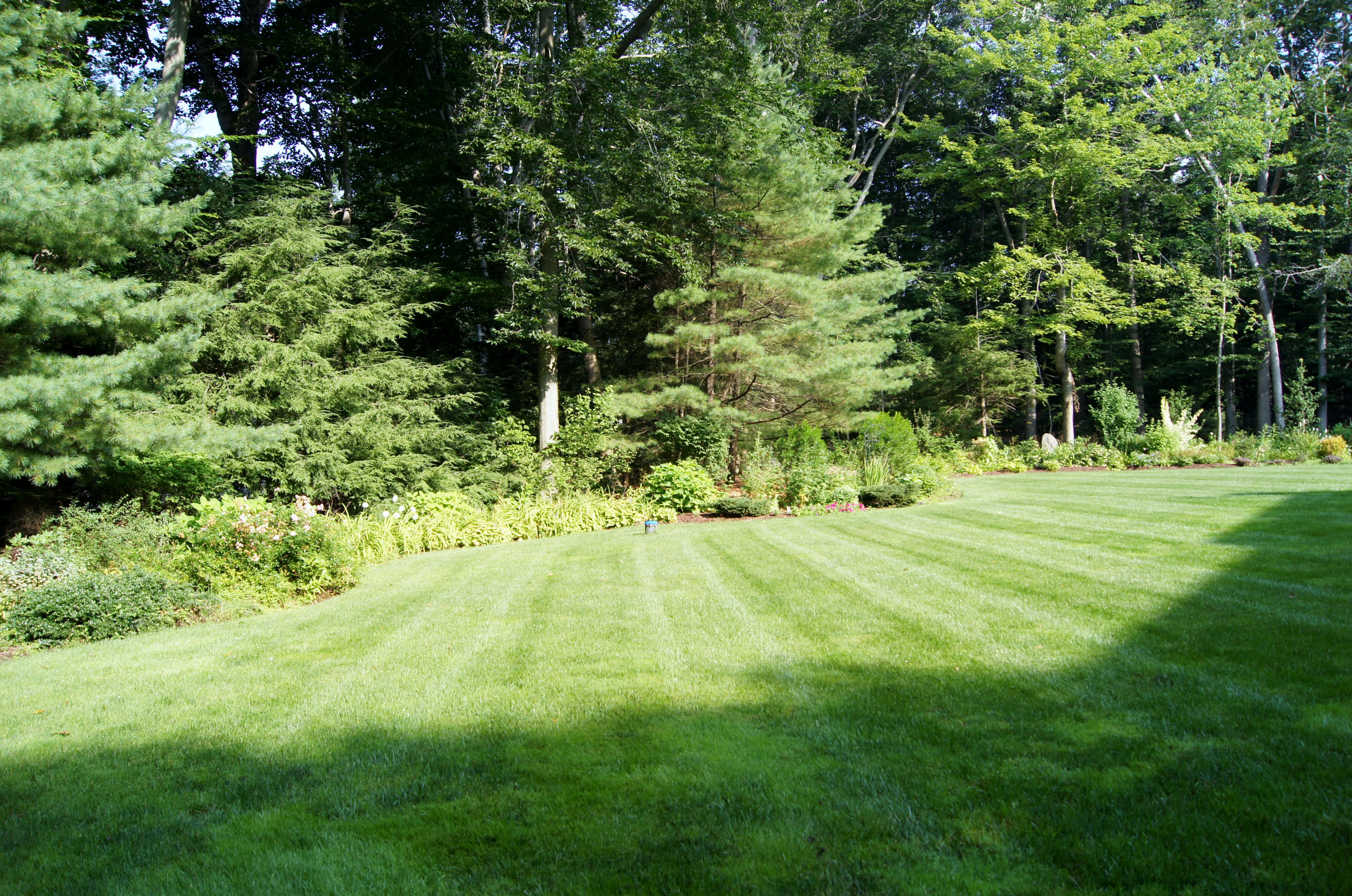 711 Hollow Tree Ridge Road Darien, CT 06820 - Photo 25 of 27 a yard with trees in the background