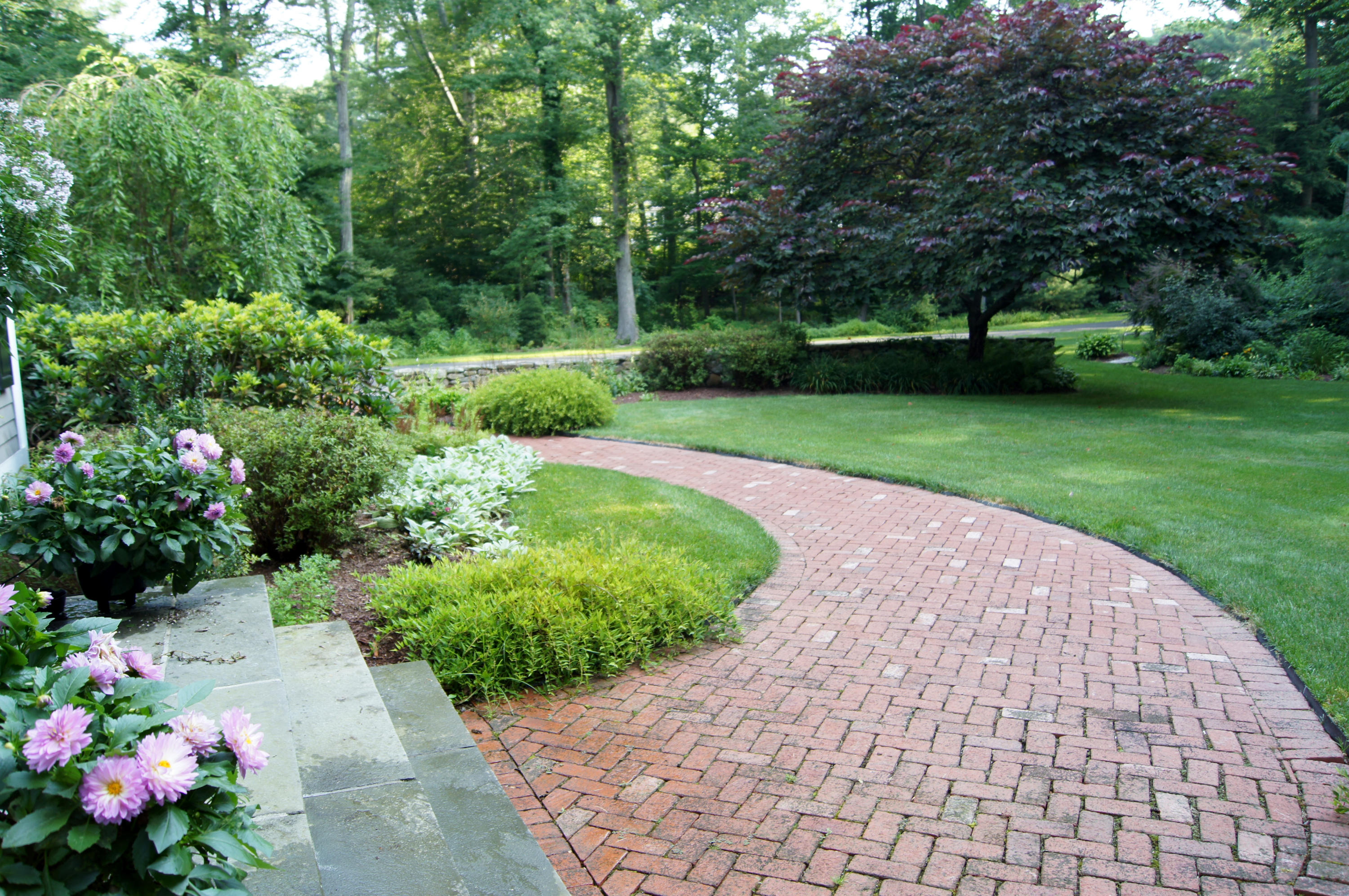 711 Hollow Tree Ridge Road Darien, CT 06820 - Photo 26 of 27 a view of a garden with a lot of flower plants