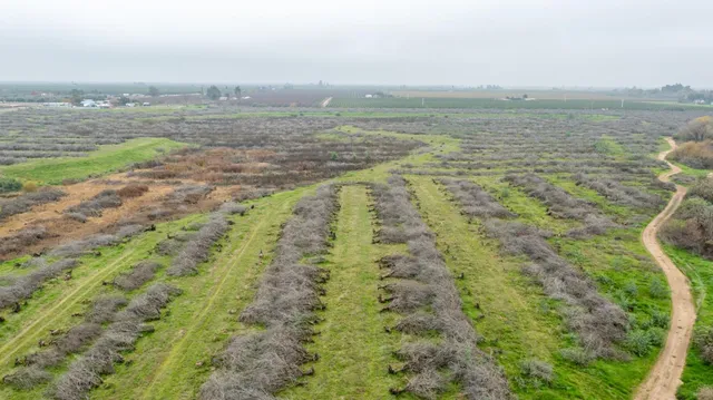 a view of ocean view with beach