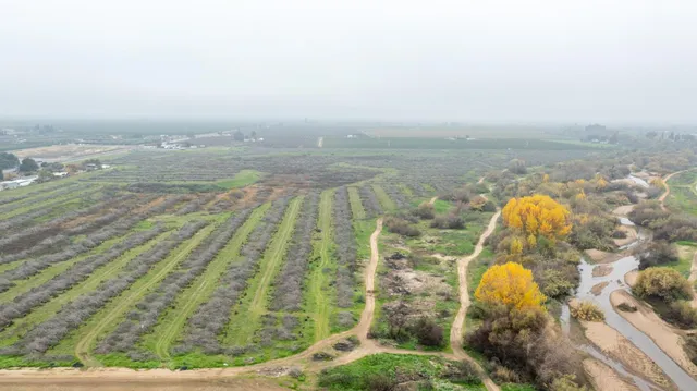 a view of an ocean beach
