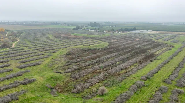 a view of lake and mountain