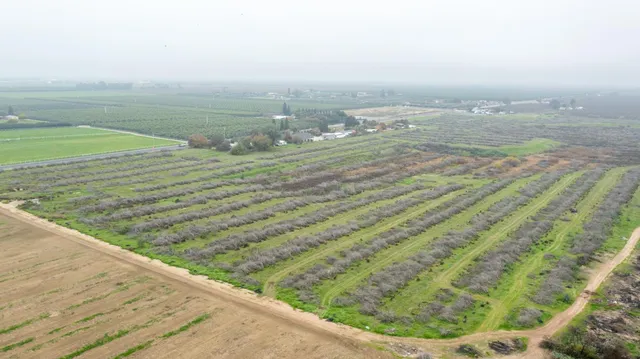 a view of a town with lush green forest