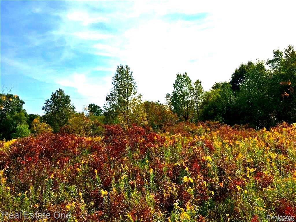 V/l Listerman Road Howell, MI 48855 - Photo 4 of 4