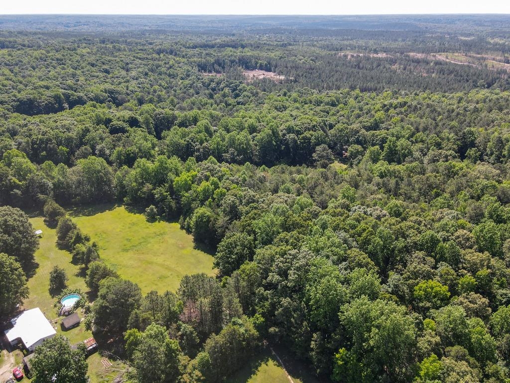 0 Traylor Road Sharon, SC 29742 - Photo 19 of 29