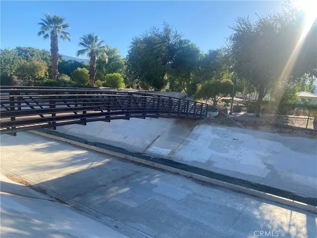 a view of a backyard with plants and trees