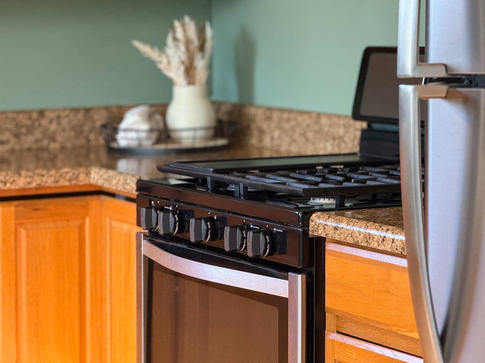703 Monroe Street Staunton, VA 24401 - Photo 12 of 21 a close view of stove top oven