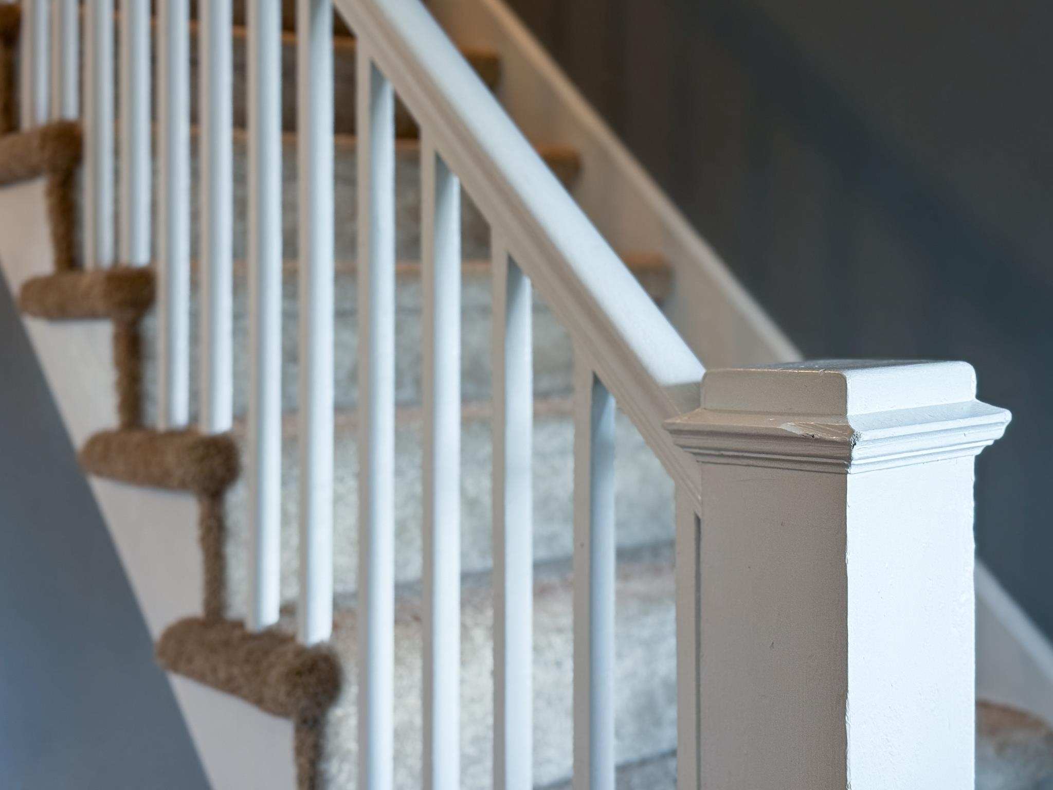 703 Monroe Street Staunton, VA 24401 - Photo 17 of 21 a view of entryway