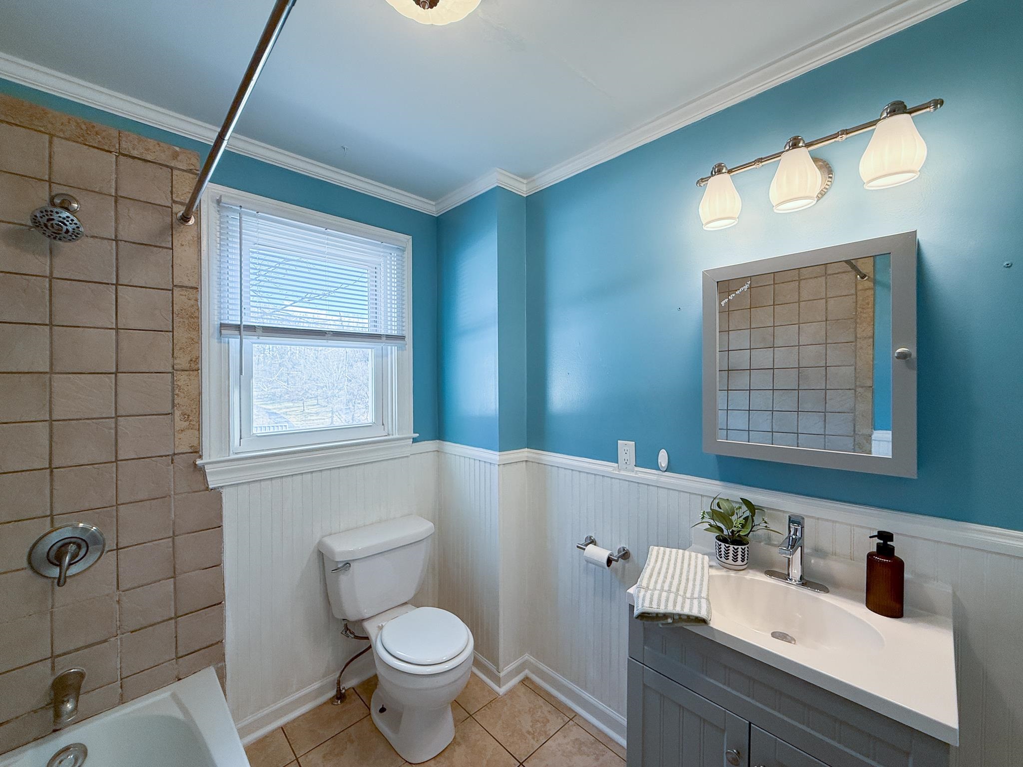 703 Monroe Street Staunton, VA 24401 - Photo 18 of 21 a bathroom with a sink a toilet and shower