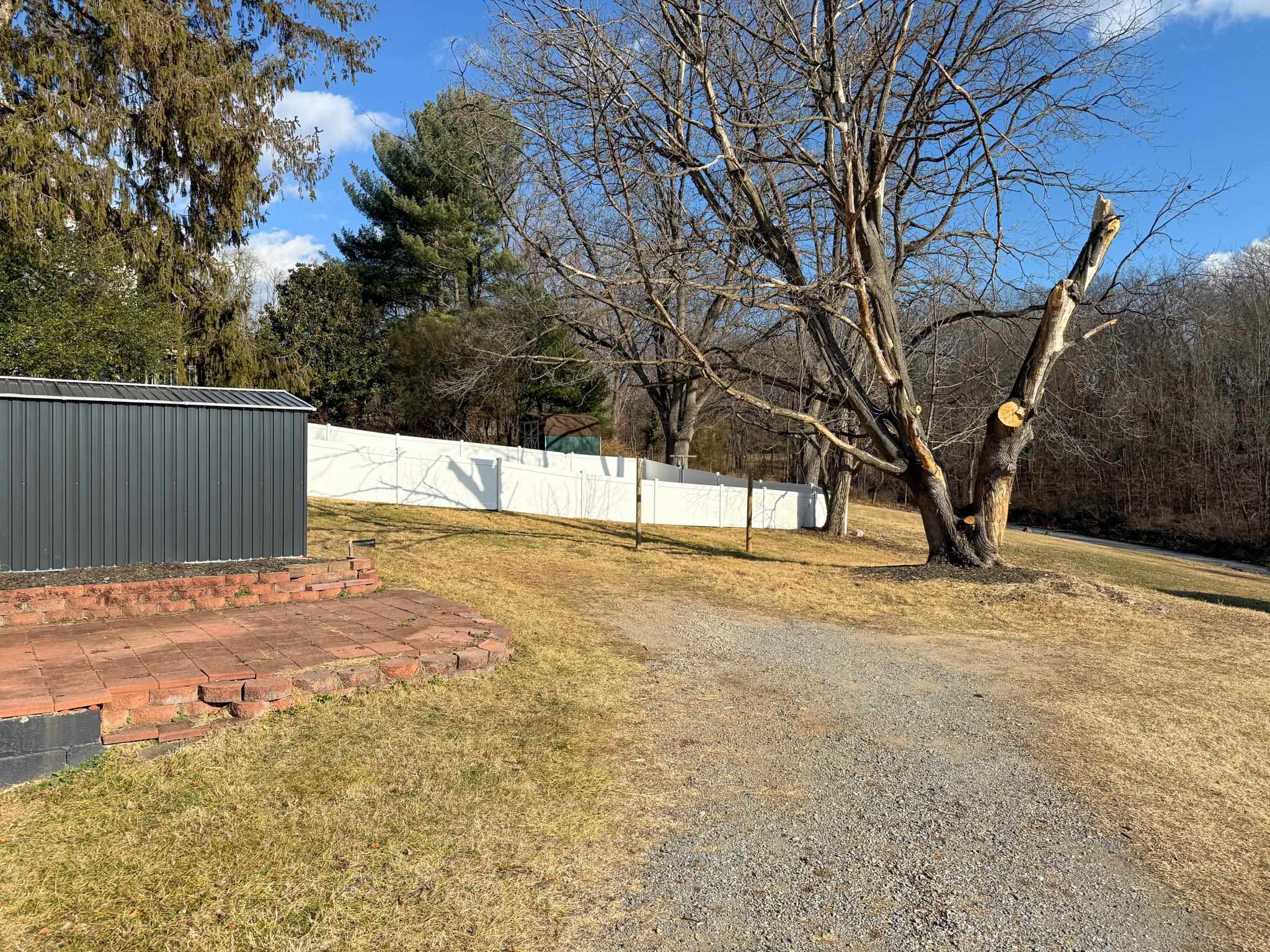 703 Monroe Street Staunton, VA 24401 - Photo 7 of 21 a view of large space with trees