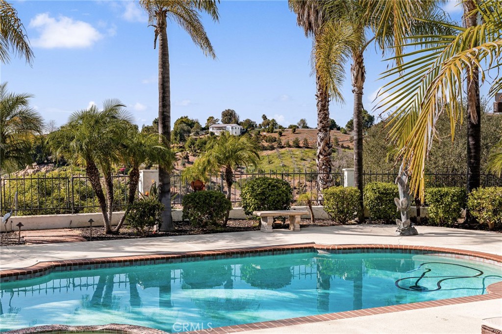 2465 Via Oeste Drive Fallbrook, CA 92028 - Photo 33 of 44 a view of a swimming pool with a lawn chairs and palm tree