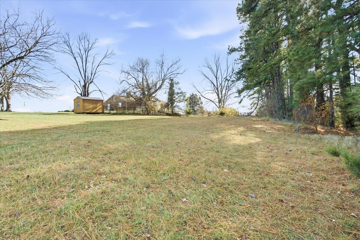 2127-2129 Moneta Road Bedford, VA 24523 - Photo 33 of 66 a view of yard with trees