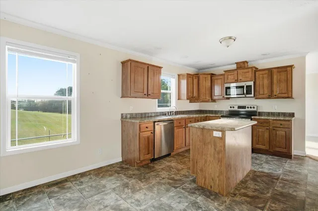 a view of a backyard with plants and large trees