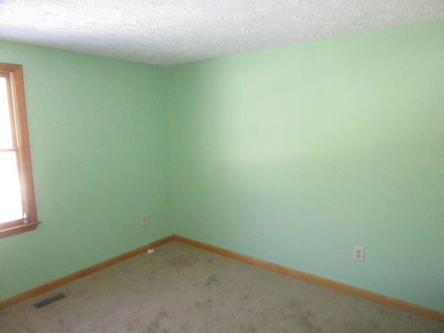 201 Alum Springs Road Lexington, VA 24450 - Photo 11 of 15 IMG_7795