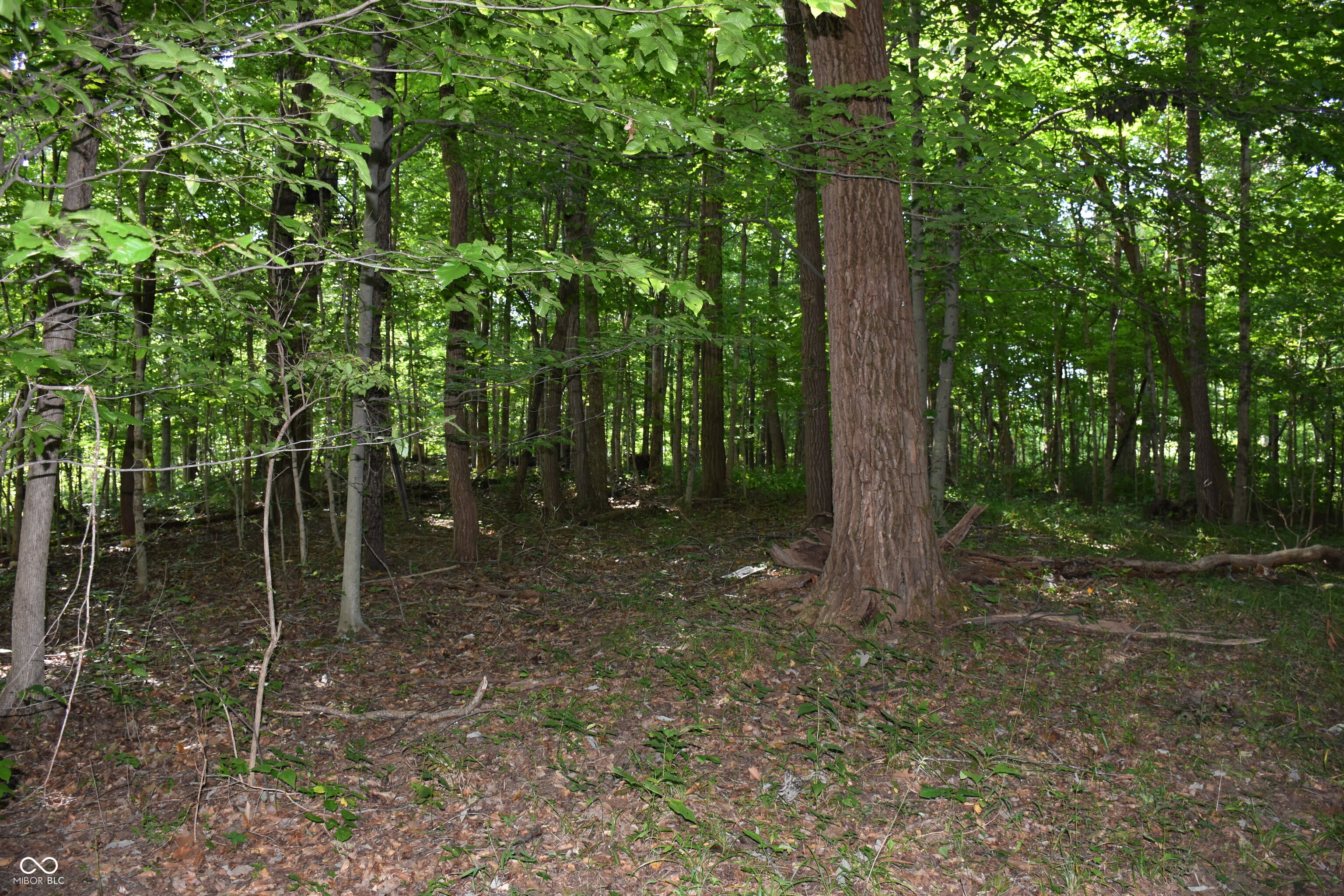 0 Sichting Road Martinsville, IN 46151 - Photo 26 of 43 Gallery Image 26